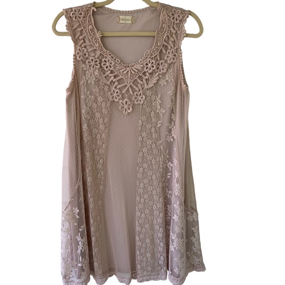 Altar'd State Dresses & Skirts - Altar'd State Lace Dress L Blush Lined Swing Sleeveless Boho Festival Party